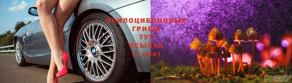 мескалин Алексин