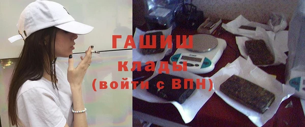 прущие грибы Абаза