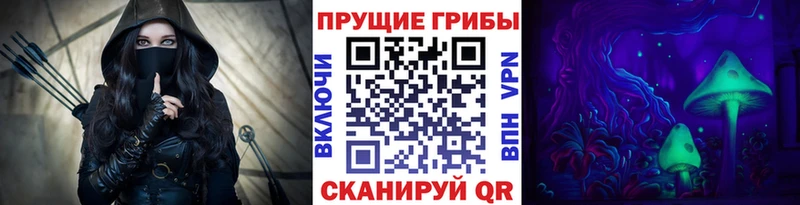 Галлюциногенные грибы прущие грибы  KRAKEN онион  Гаврилов Посад 